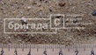 песок формовочный сухой в тоннах ГОСТ 2138-91 по 50 кг.