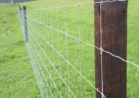 забор,сетка ursus,1,5 м, 50 м