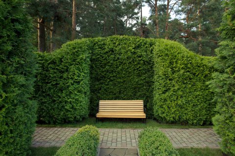 Парковые диваны и живые изгороди появятся в Войковском районе