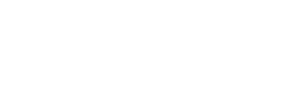 ОБЪЕДИНЕНИЕ ПОДРЯДНЫХ ОРГАНИЗАЦИЙ, НП