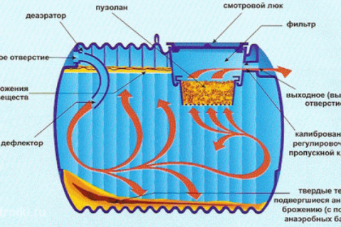 Как называются микроорганизмы, которых заселяют в септик? Каков срок их жизни?
