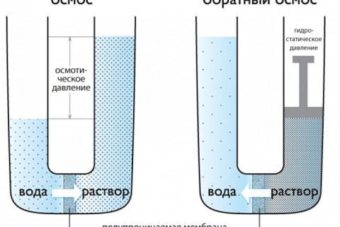 В системах водоподготовки есть устройства, работающие на принципе "обратного осмоса". Что за осмос такой? И почему он непременно - "обратный"?