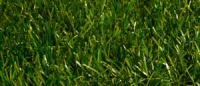 искусственная трава fun grass