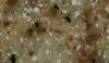 камень акриловый staron коллекция aspen