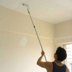 Можно ли применить для окрашивания потолка в летнем доме краску на основе ПВА