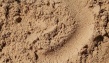 песок мытый 1,6-1,9;2,0-2,2 с доставкой