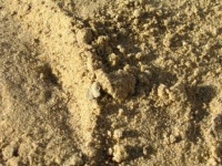 песок речной 1,8-2,5 с доставкой