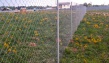 Забор из сетки рабица высота 1,8 мм:
cтолбы 60*40-2мм, сетка 50*50мм ячейка, то...