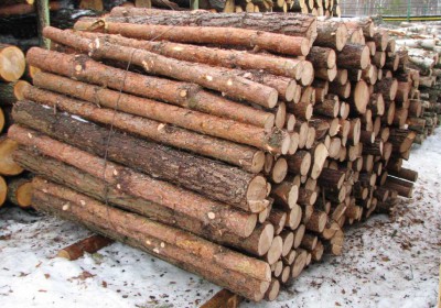 столбы заборные деревянные неокорённые диаметр 10-12 см.длина 3 м.