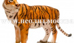 Садовая фигура Амурский тигр 224 см
