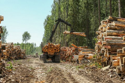 В Якутии новый инвестор создает крупный лесопромышленный бизнес на принципах бережного отношения к природе