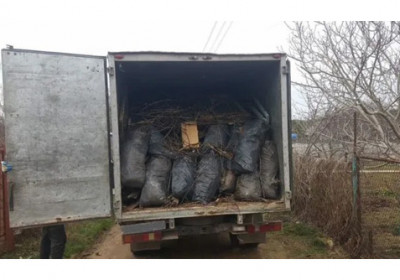 Вывоз листьев и веток Нижний новгород