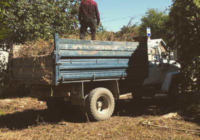 Вывоз листьев с дачного участка Нижний Новгород