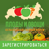 «Плоды и овощи России - 2022»