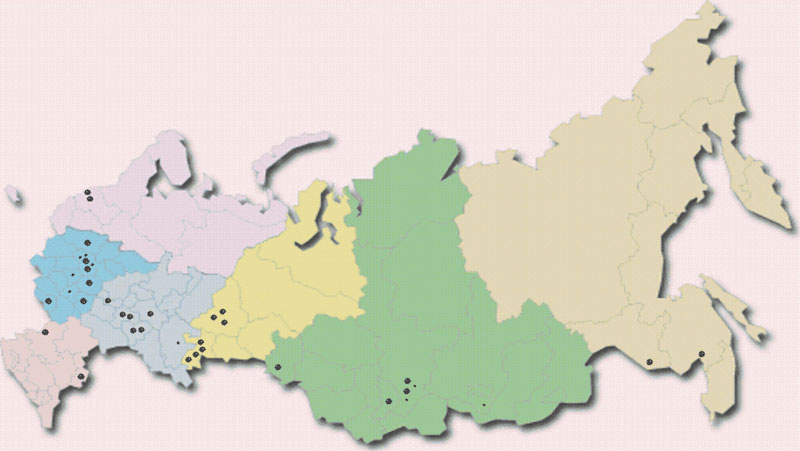 Представители федеральных округов. Федеральные округа России с Крымом. Карта федеральных округов для завода. Карта федеральных округов чистая. 8 Округов РФ.